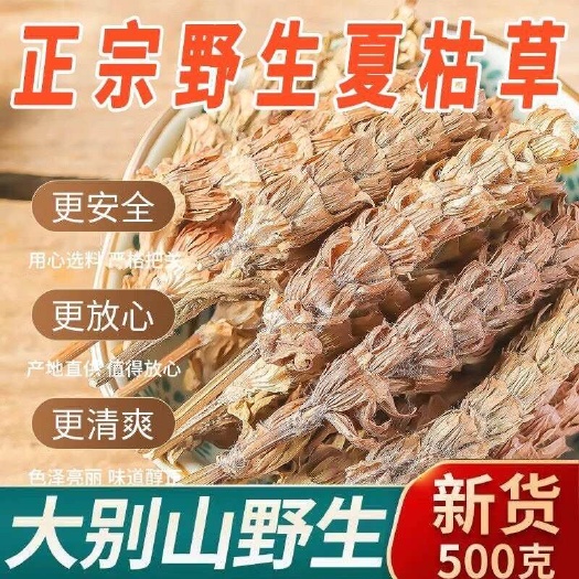 长沙夏枯草