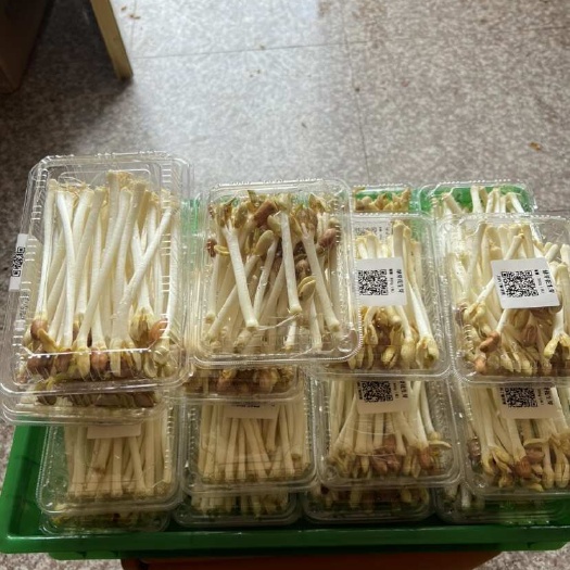 浙江台州新鲜花生芽苗菜 绿色健康可溯源