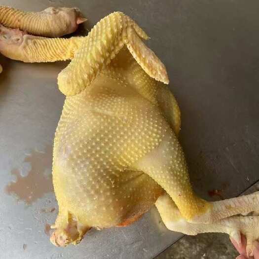 清远清远麻鸡，足日，有鸡味，肉质好