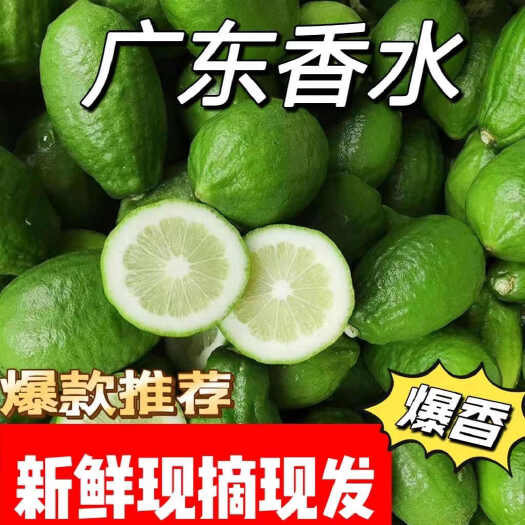 湛江正宗广东香水柠檬无籽新鲜柠檬柠檬茶鲜果茶水果店专用一二级果