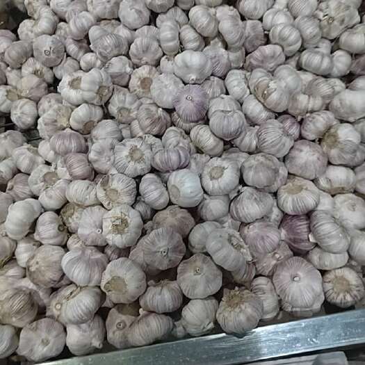 诸暨市金乡高标太空规格齐全