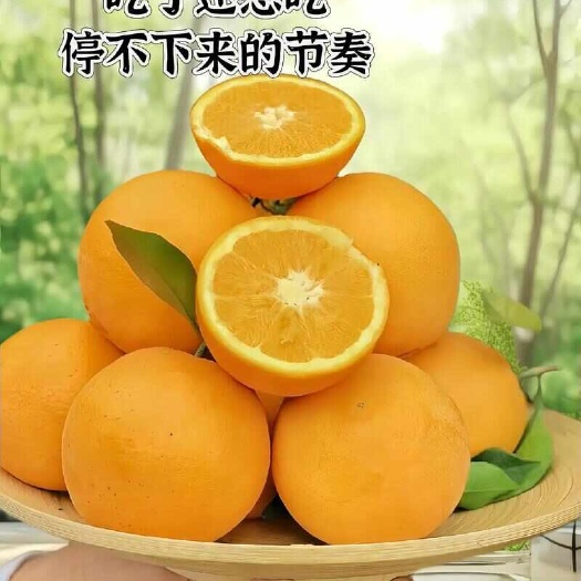 秭归县湖北秭归夏橙果形饱满橙味飘香现摘现发新鲜到家全国代收代发
