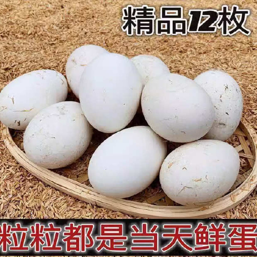 杭州热卖新鲜鹅蛋农家散养大鹅蛋外河水放养孕妇用鹅蛋土大个头好蛋