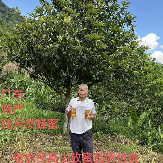 陆河县深山中华蜂，冬蜜百花蜜，正品蜂蜜、原浆蜜。
