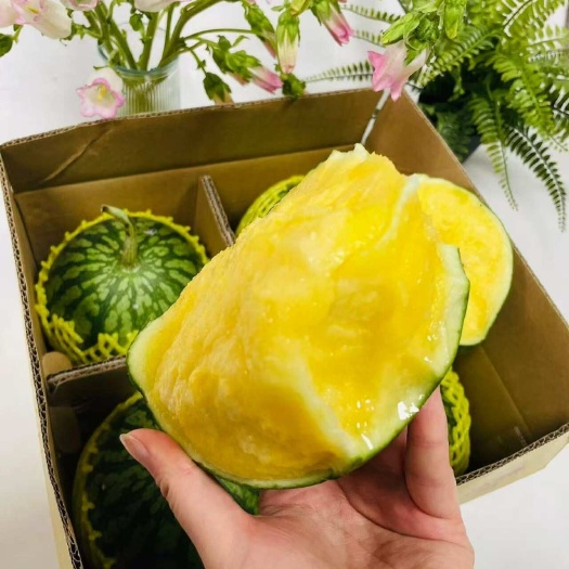 温岭市东台头茬冰淇淋黄西瓜