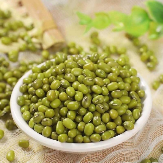 鹿邑县绿豆商用豆类青豆小绿豆煮粥绿豆沙消暑绿豆汤