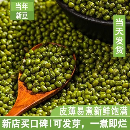 鹿邑县绿豆+老冰糖组合】绿豆商用豆类青豆小绿豆煮粥绿豆沙消暑绿豆汤