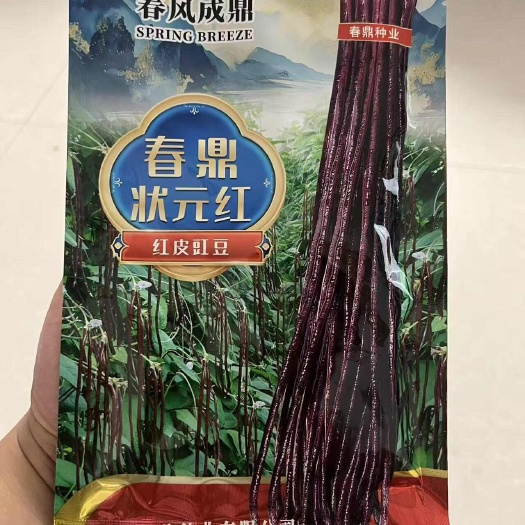 夏邑县春鼎状元红豇豆种子，紫红色，荚长60～70厘米，采收期长