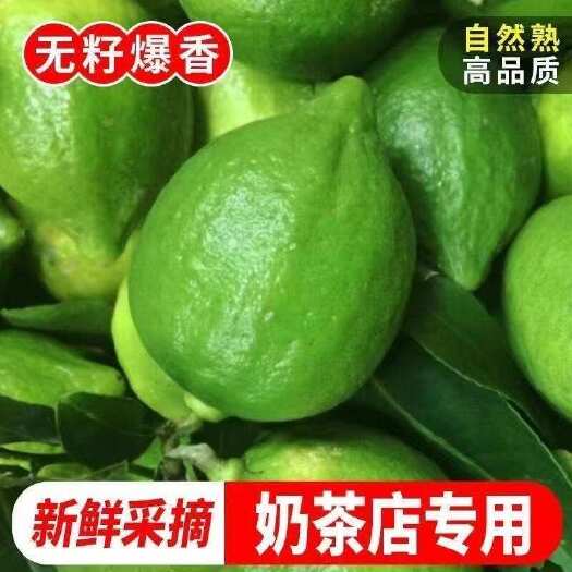 元江县云南玉溪香水柠檬香柠檬无籽精选奶茶店专用