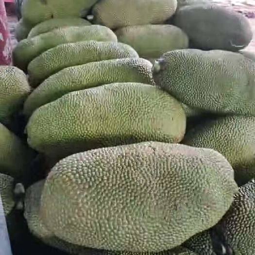 桑植县波罗蜜马来西呀一号蜜