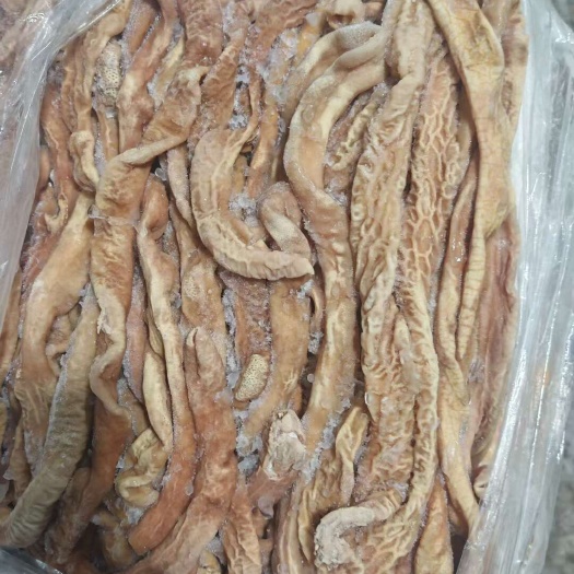 东莞市猪小肠
