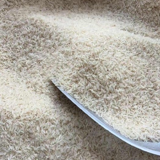 苍溪县长粒香不抛光不打蜡胚芽米