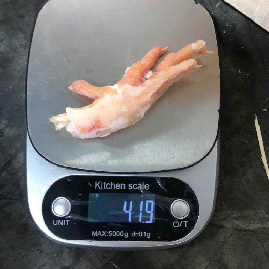 南宁美国凤爪工厂直供