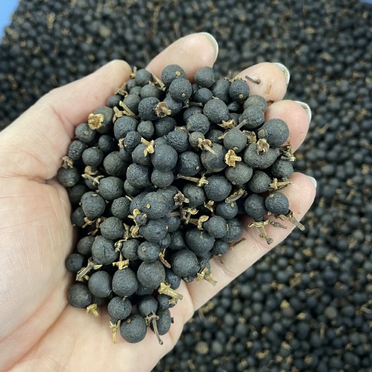 江门新会小柑胎 剪枝的 不是落地的 有果蒂 黄豆大小 果香味
