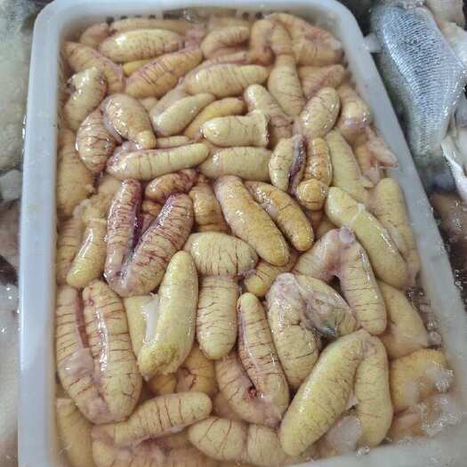 深圳精品无油