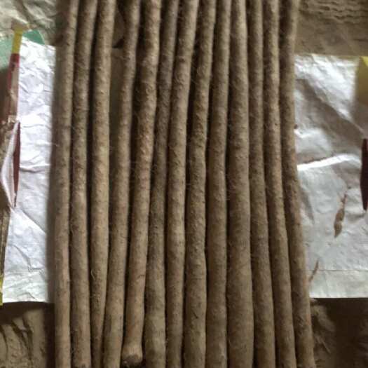 蠡县榆林紫药大货