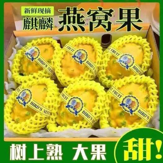 温岭市海南燕窝果麒麟果大果新鲜当季超甜白心孕妇火龙果高档水果包邮