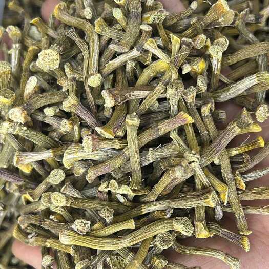昆明云南勐海铁皮石斛干条 中药材滋补养生 昆明发货