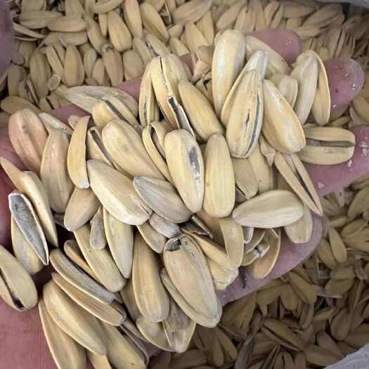 天津打手瓜子  脱皮瓜子  电商来