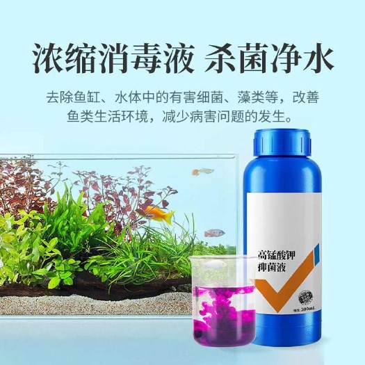 长沙高锰酸钾溶液鱼用鱼缸消毒液观赏鱼杀菌锦鲤水草
