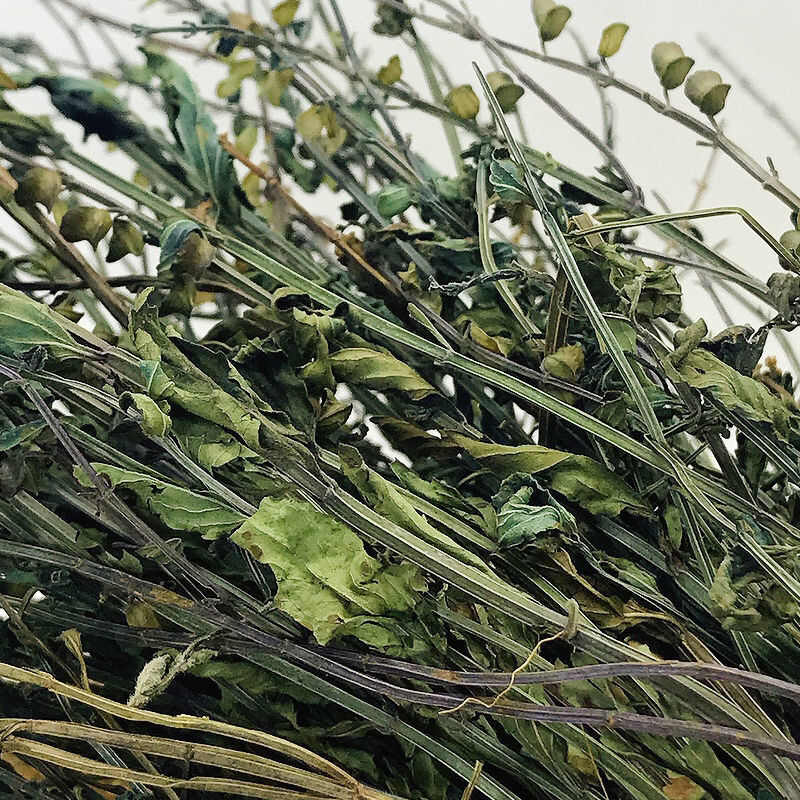 【精品手选】整棵带根优质半枝莲，短杆色青 水洗干净，天然晾晒