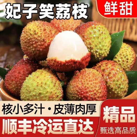 东方市海南妃子笑荔枝新鲜采摘现摘现发