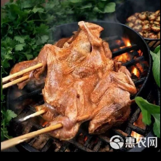 海安市养殖40天的肉鹌鹑