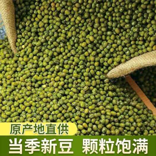鹿邑县农村新绿豆绿豆粥绿豆汤笨绿豆发豆芽绿豆糕