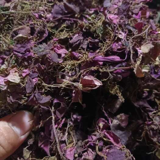 风柜草小叶红