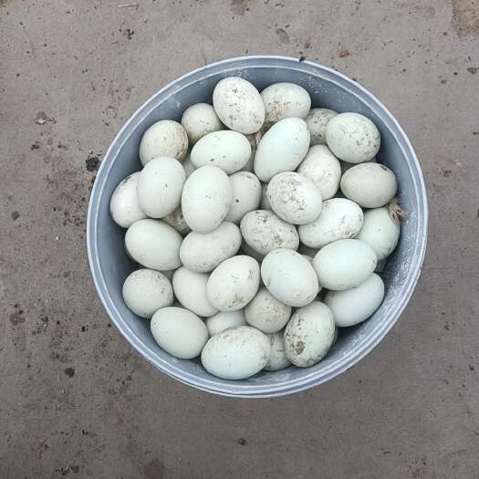 怀远县青皮土鸭蛋