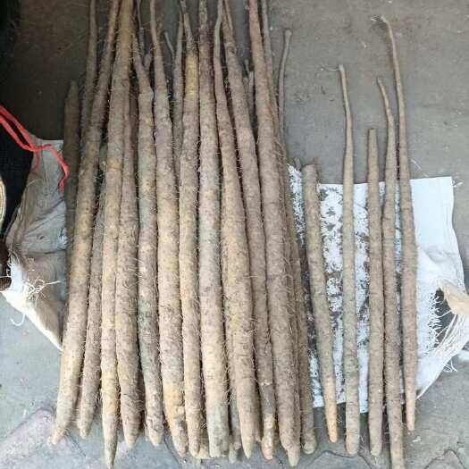 紫药大货软糯香甜营养成分高