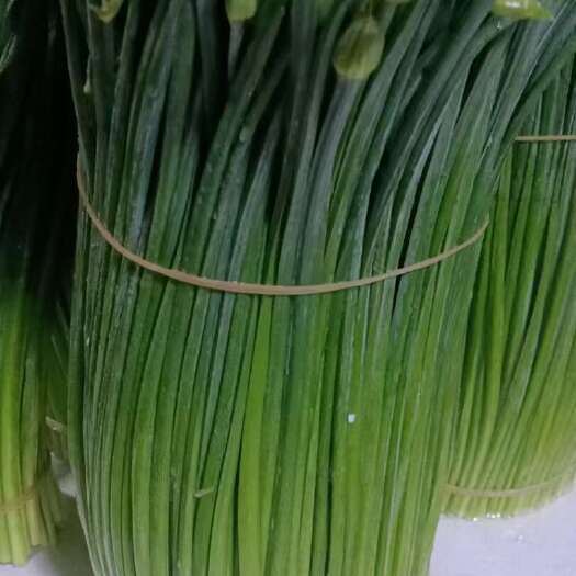精品韭菜花，无下药，有质量