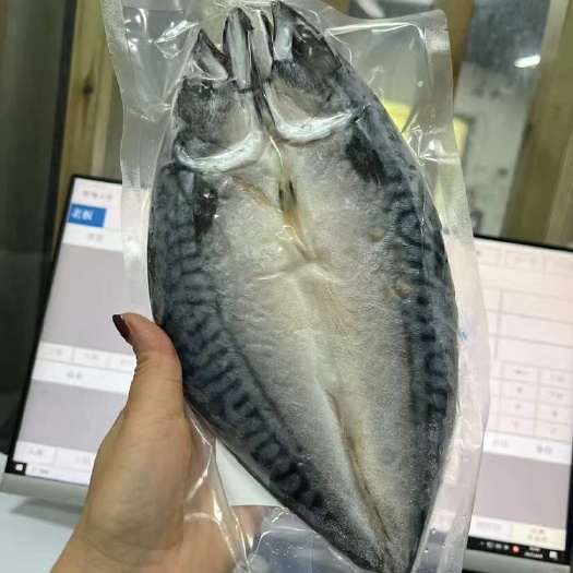 挪威青花鱼日式料理食材盐烤青花鱼鲐鱼鲃鲭鱼一夜干碳烤青花鱼