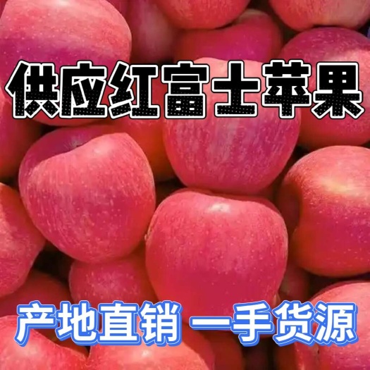 常年供应红富士苹果，苹果产地直销脆甜，按需分捡，全国发货