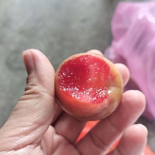 容县五月的山华李大量的货