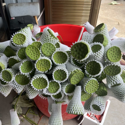 祁阳市荷花莲蓬，价格是增加曝光率，品质才是合作的核心。