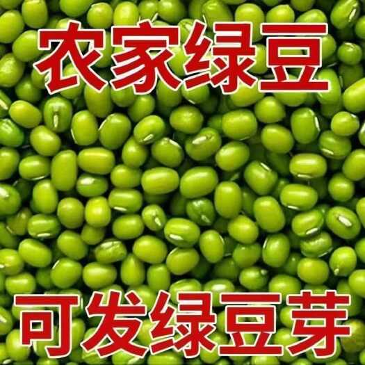 鹿邑县东北农村新绿豆绿豆粥解暑绿豆汤笨绿豆发豆芽绿豆糕甜杏仁