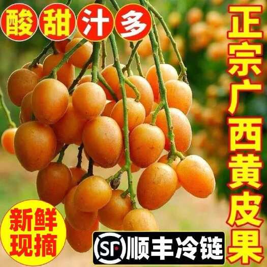 现货黄皮果有核黄皮新鲜水果鸡心黄皮果孕妇水果一件代发