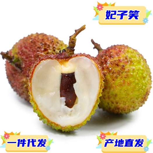 高州市一件代发 广东茂名妃子笑荔枝5斤顺丰冷链现摘当季时令新鲜水果