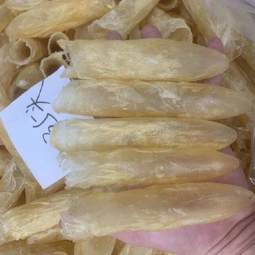广州鱼胶花胶 野生深海咸水黄花筒 网红爆款源头直批