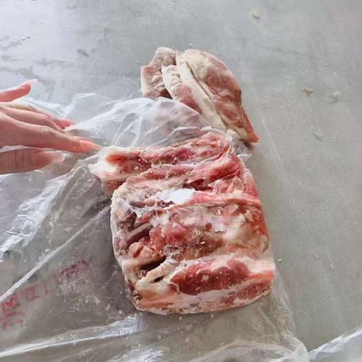沂南县国产冻白条分割肥猪月牙骨1.8吨， 今年3/4月份