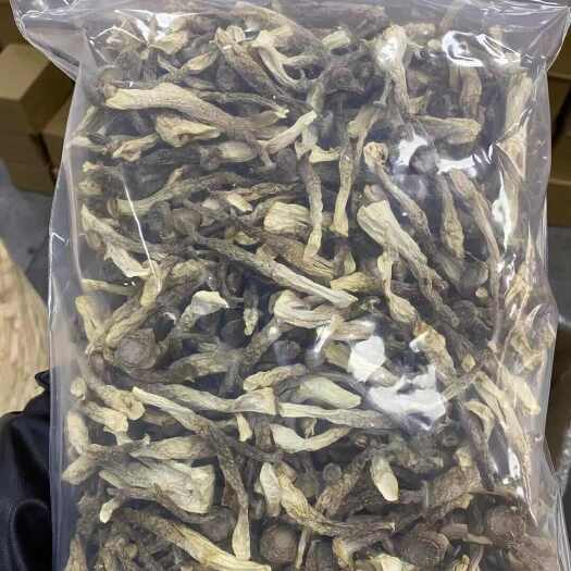 鹿茸菇嫩仔新货批发农民自晒鹿茸菇干货脆嫩