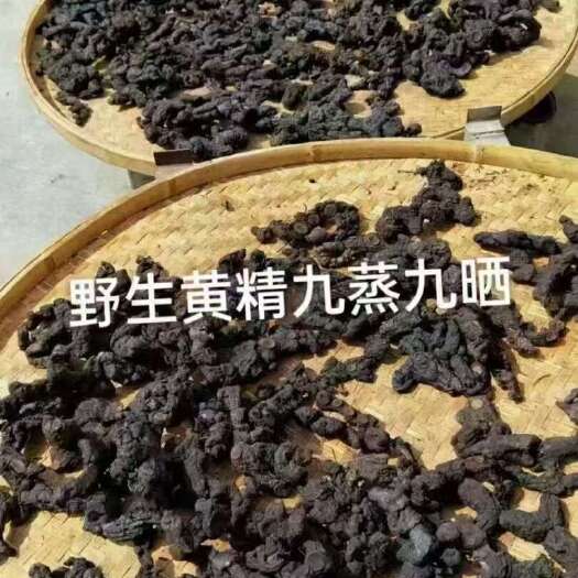 大新县黄精