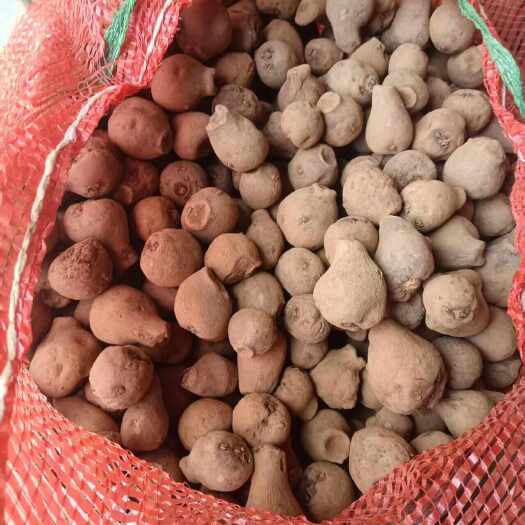 富源县魔芋，适合做各种食品，还可以医药有限公司使用