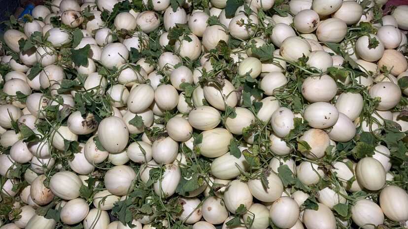 东方蜜肉红又甜，毛毛钱