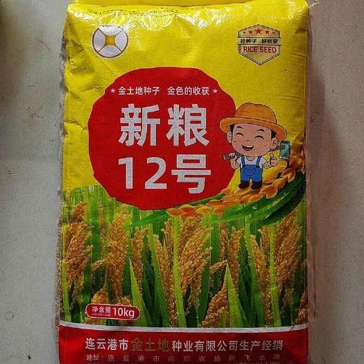 宿迁新粮12号水稻种子 全生育期150左右 株高88.8厘米