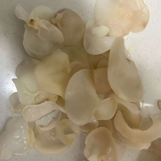 白玉木耳