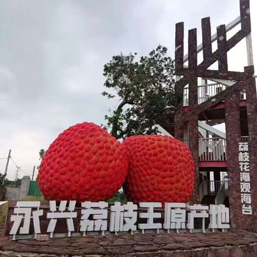 海口荔枝王