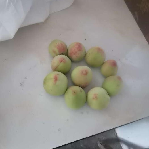 贵州本地结桃近期成熟了，可以联系（一玖儿伍溜溜柒，发林林柒