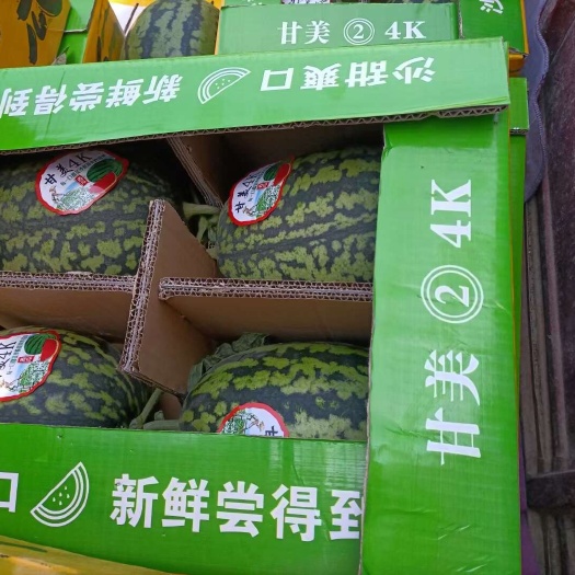 大荔县陕西美都西瓜、牧田嘉宝西瓜、4k西瓜、甜王、劲王、金花大量上